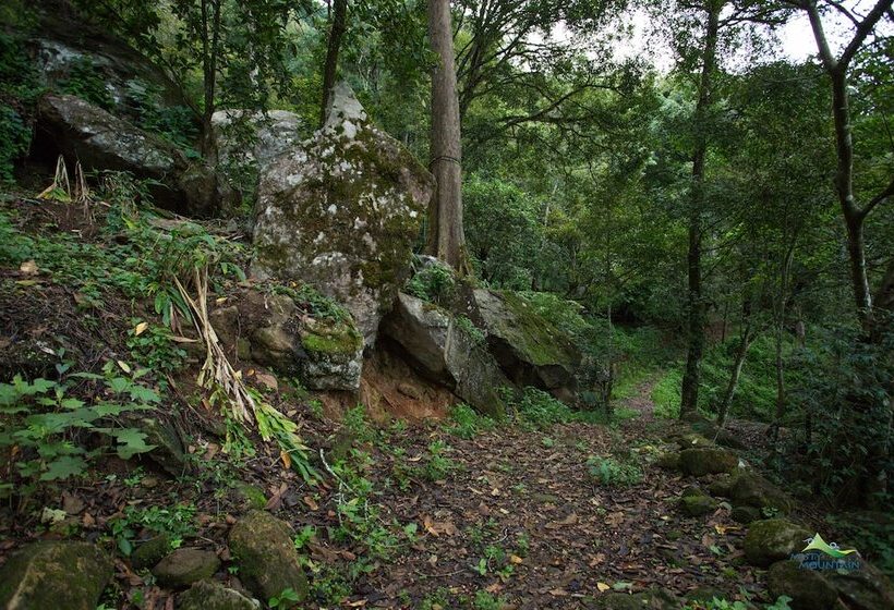 هتل Misty Mountain Resort