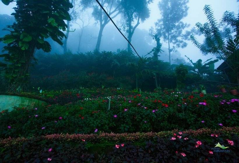 هتل Misty Mountain Resort