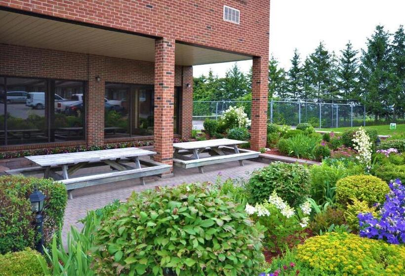 فندق Newmarket Inn