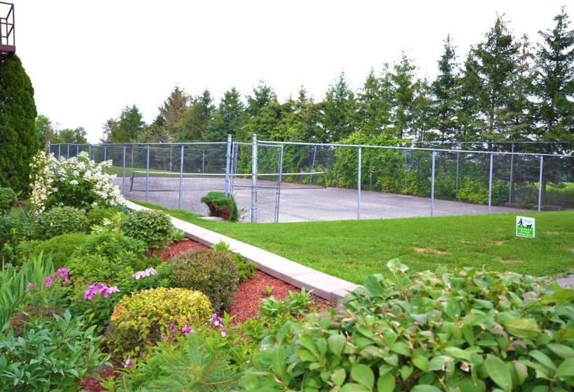 فندق Newmarket Inn