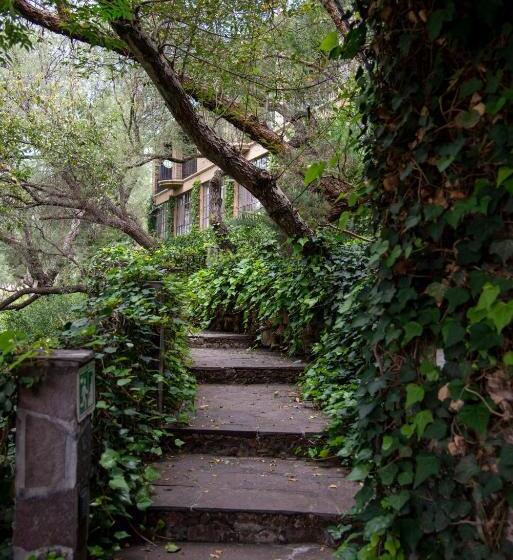 ホテル Nirvana Restaurant & Retreat