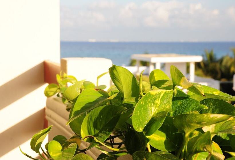 酒店 Posada Sian Kaan Playa Del Carmen