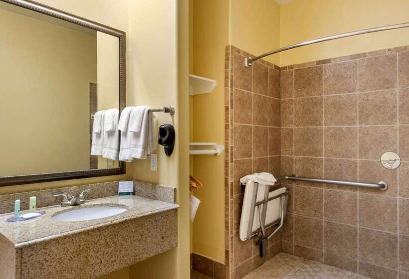 酒店 Quality Inn & Suites At The Outlets Mercedes Weslaco