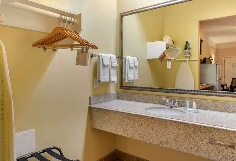 酒店 Quality Inn & Suites At The Outlets Mercedes Weslaco