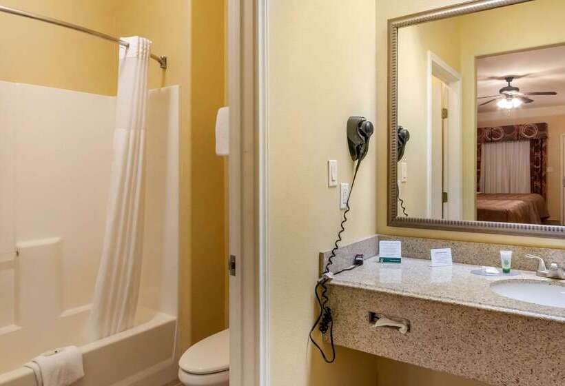 酒店 Quality Inn & Suites At The Outlets Mercedes Weslaco