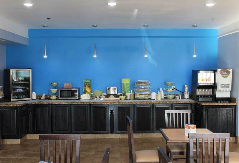 酒店 Quality Inn & Suites At The Outlets Mercedes Weslaco