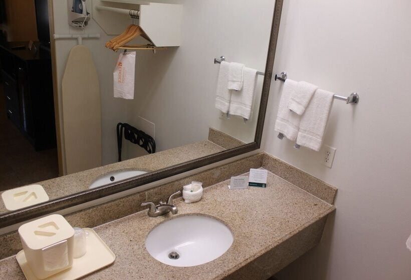 酒店 Quality Inn & Suites At The Outlets Mercedes Weslaco