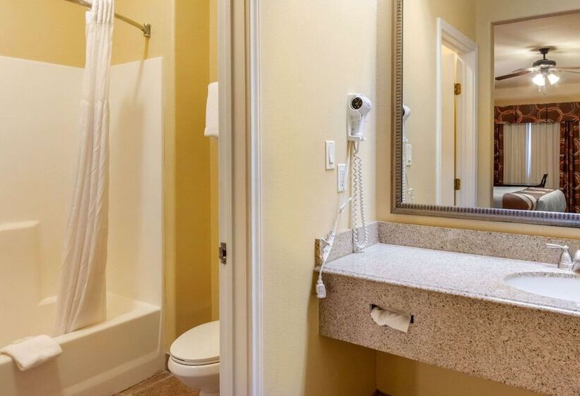 酒店 Quality Inn & Suites At The Outlets Mercedes Weslaco