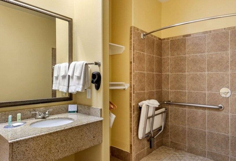 酒店 Quality Inn & Suites At The Outlets Mercedes Weslaco