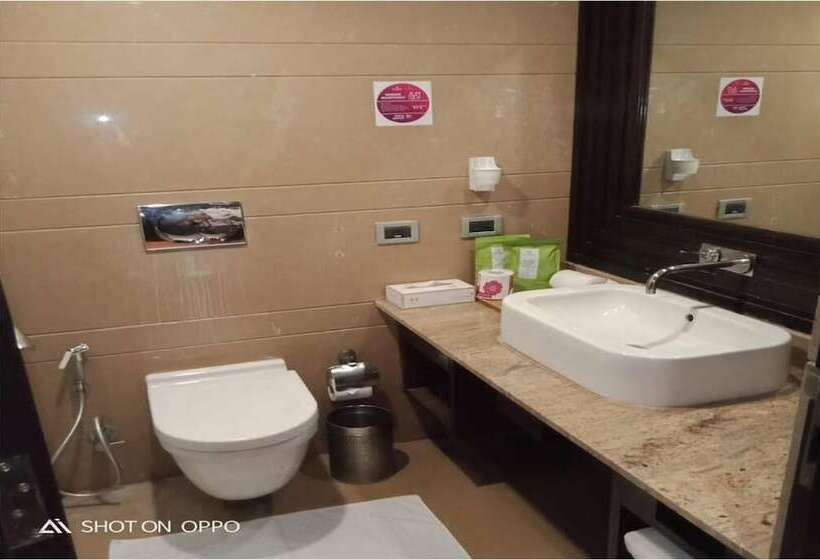 ホテル Royal Orchid Central Kireeti Hampi Hospet