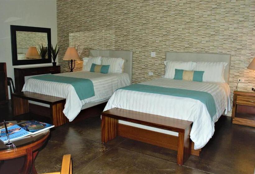 Отель San Angel Suites