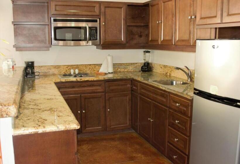 호텔 San Angel Suites