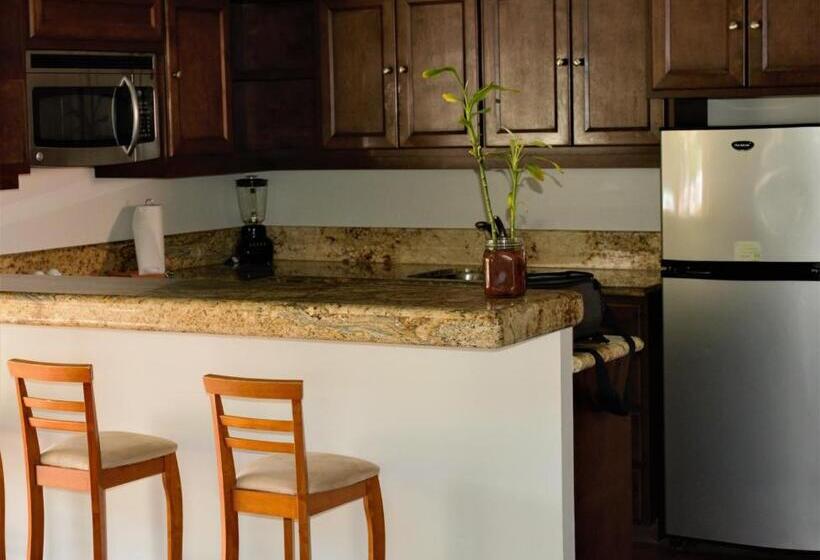 ホテル San Angel Suites