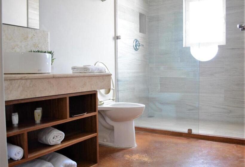 ホテル San Angel Suites