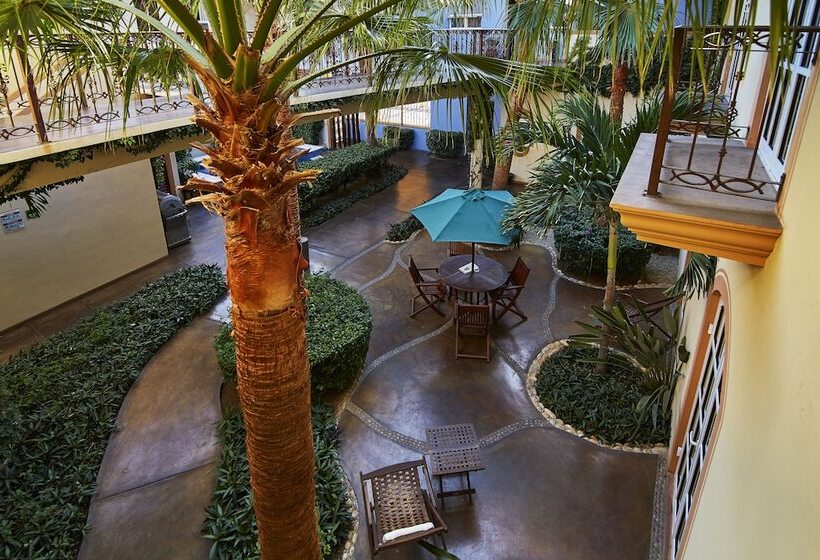 ホテル San Angel Suites