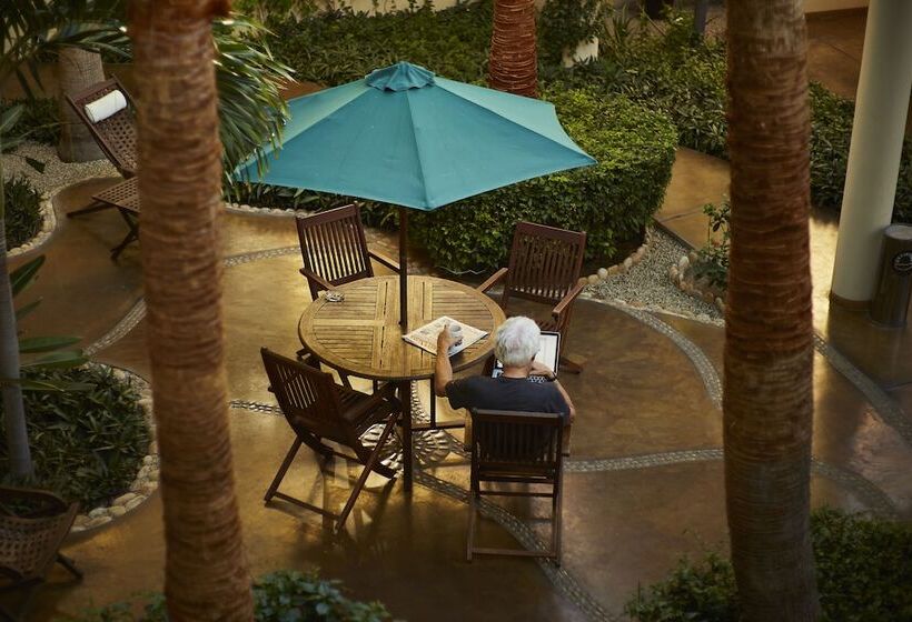 ホテル San Angel Suites