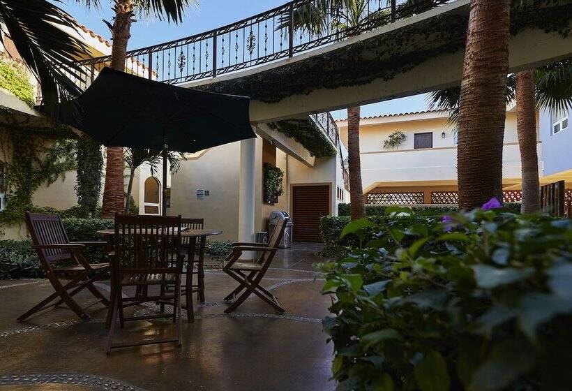 Отель San Angel Suites