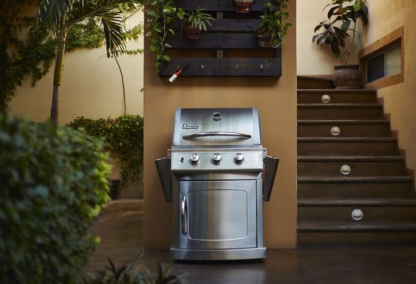 Отель San Angel Suites