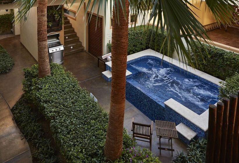 Отель San Angel Suites