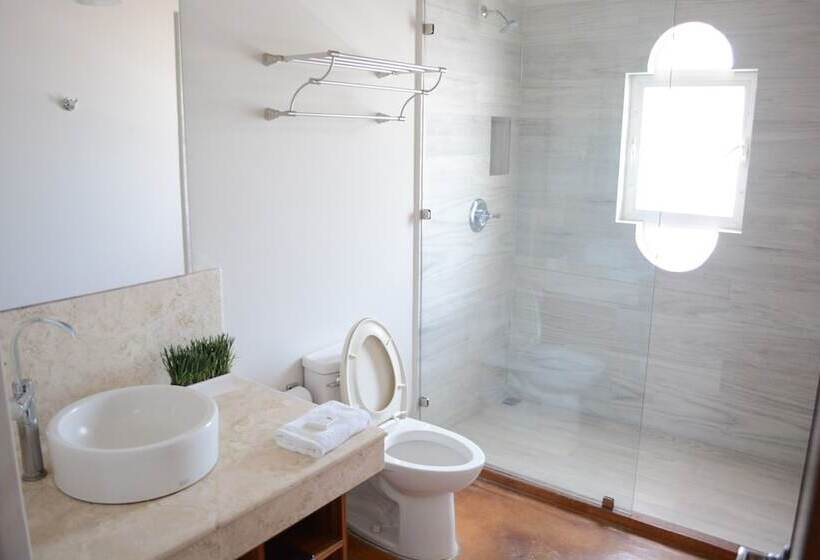 ホテル San Angel Suites