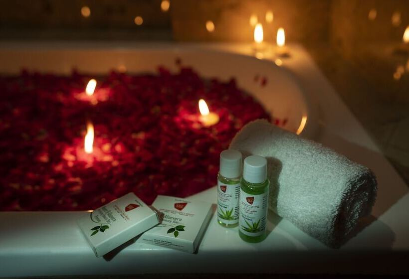 호텔 Shri Ram Excellency