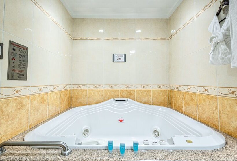 Отель Suites Inn La Muralla Metepec