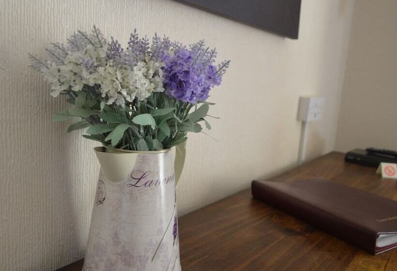 فندق The Old Rectory Inn