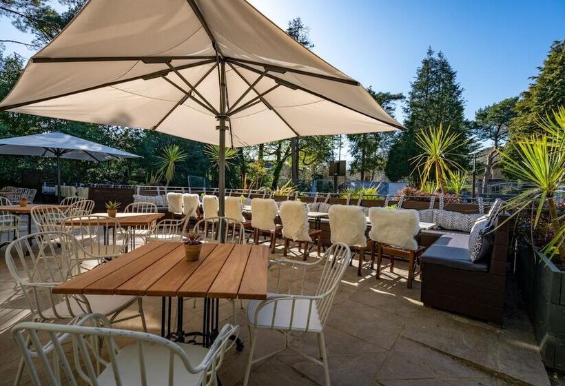 Отель The Pavilion Arms