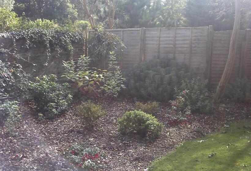 ホテル Woolpack Inn