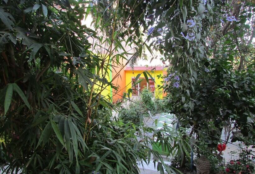 בית מלון כפרי Zen