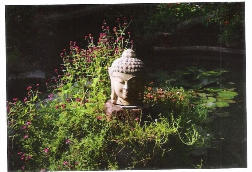 בית מלון כפרי Zen