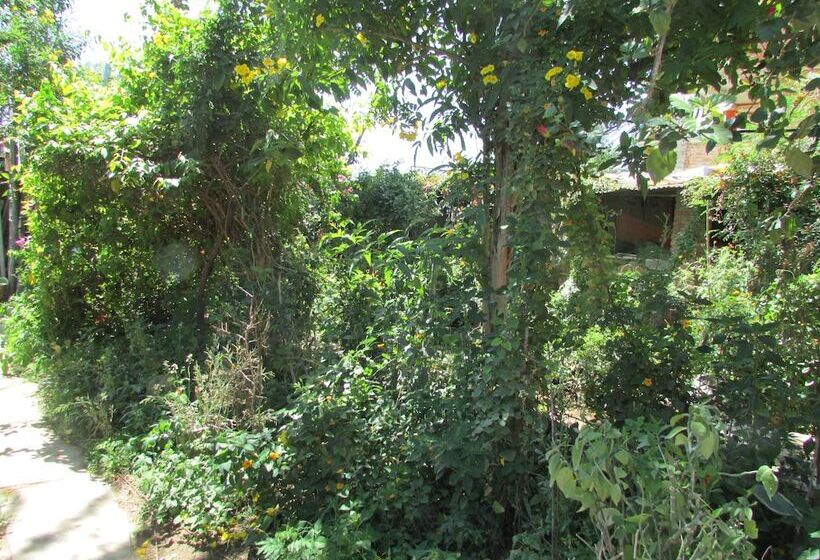 בית מלון כפרי Zen