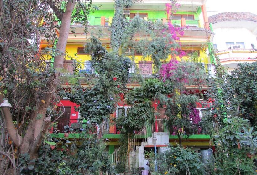 בית מלון כפרי Zen