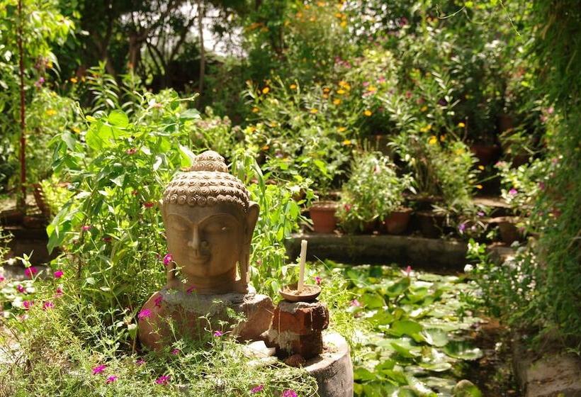 בית מלון כפרי Zen