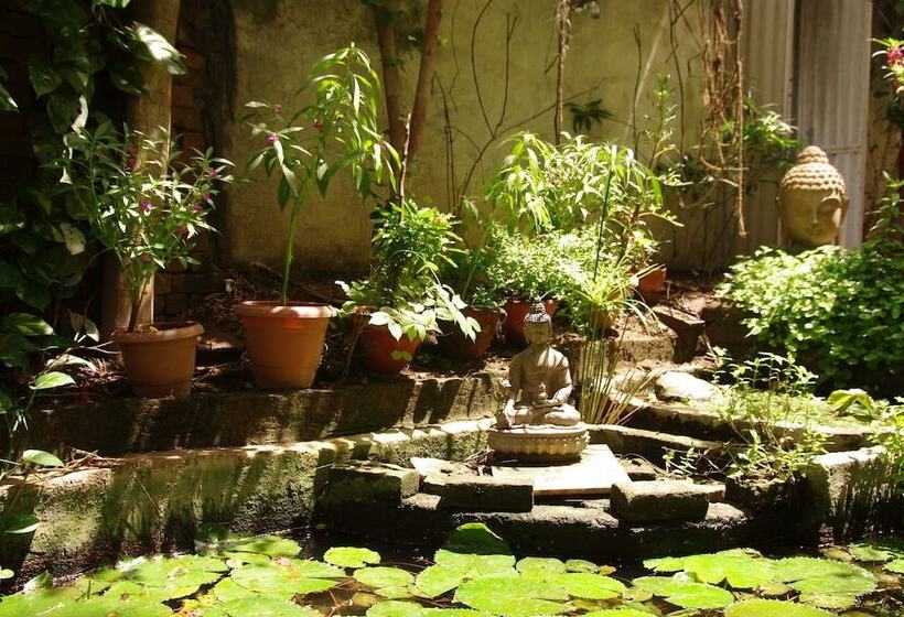 בית מלון כפרי Zen