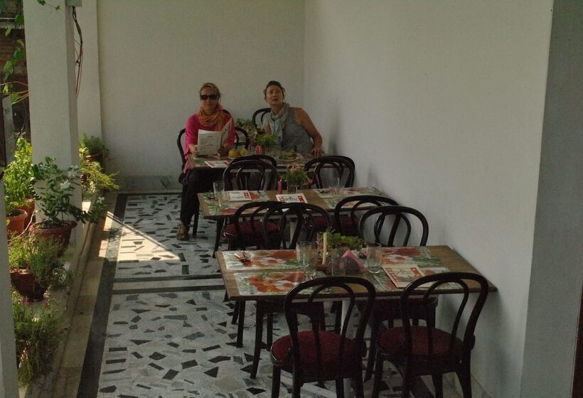 בית מלון כפרי Zen