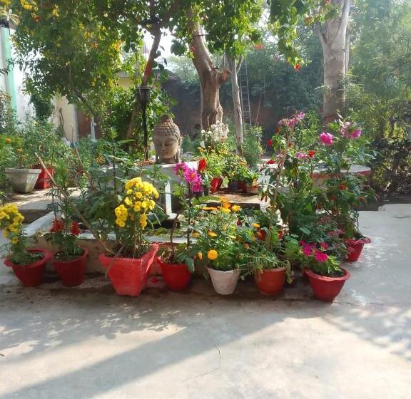 בית מלון כפרי Zen