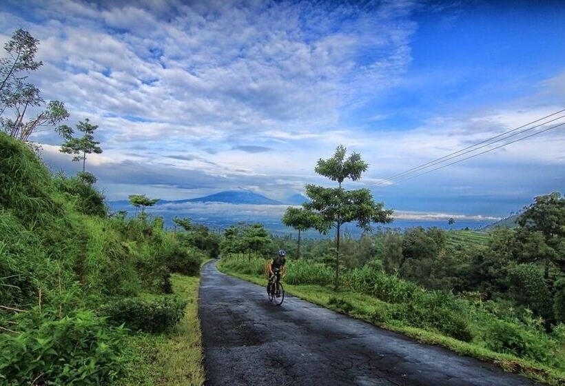 Mesastila Resort And Spa