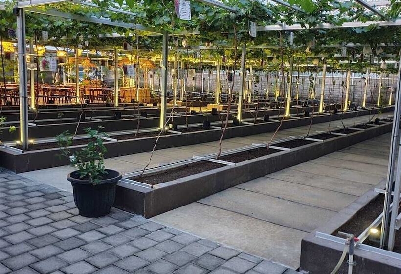 إقامة The Banyumas Villa