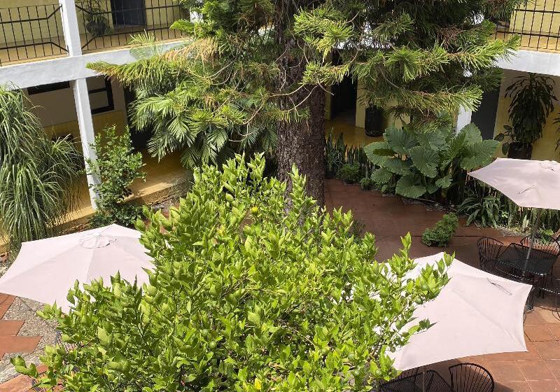 הוסטל Allende Morelia