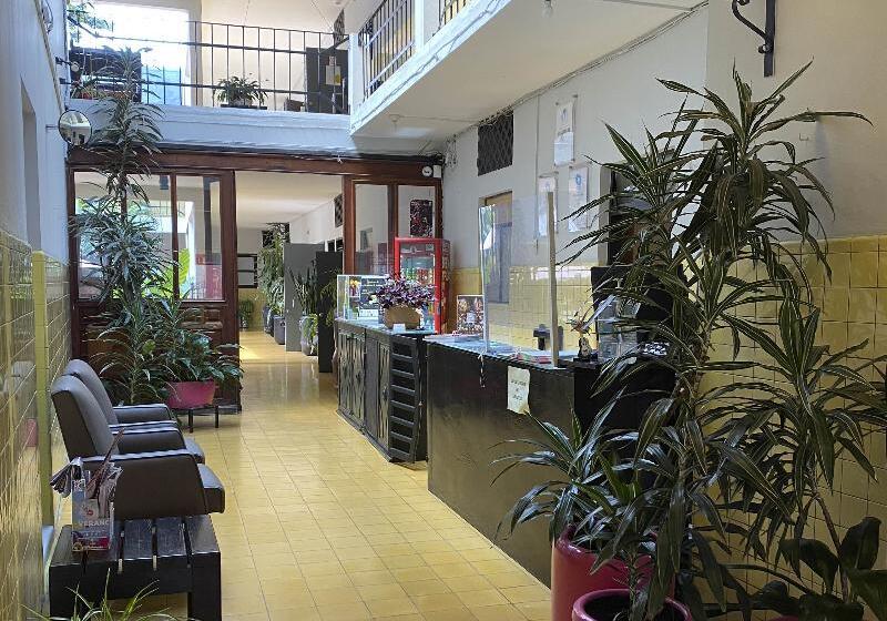 הוסטל Allende Morelia