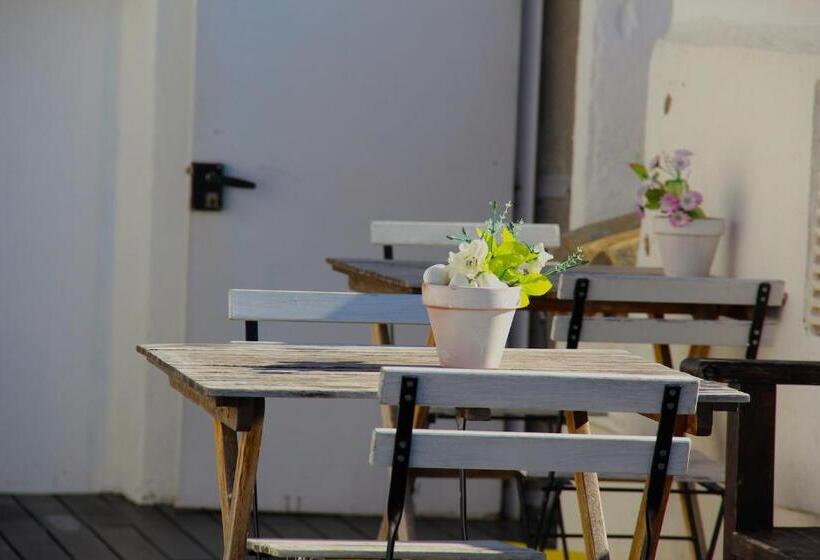 هاستل Oasis Backpackers' Toledo