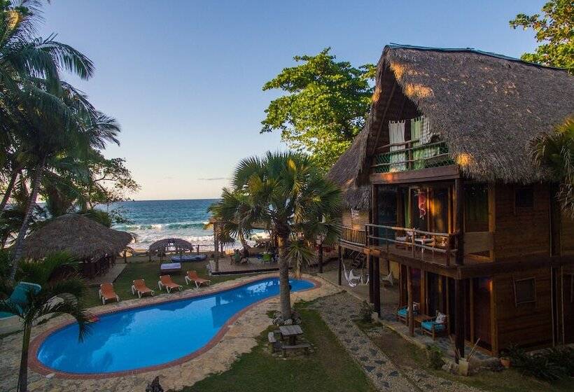 Bed and Breakfast Cabarete Maravilla Eco Lodge Boutique Beach Surf Encuentro, Kite, By Aa Group