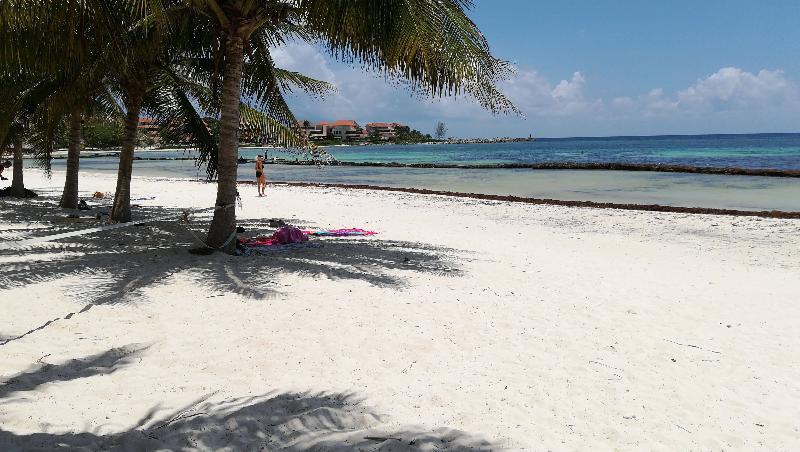 مبيت وإفطار Villas Picalu Lodge