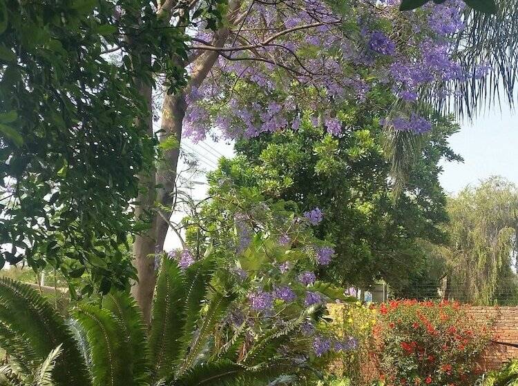 簡易ホテル Constantia Manor Guest House