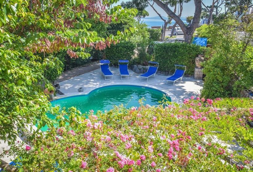 فندق Albergo Italia   Beach