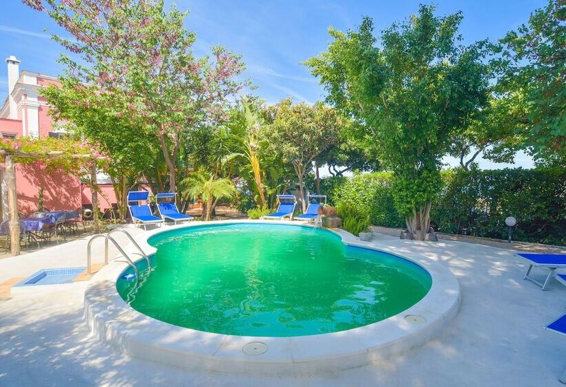 فندق Albergo Italia   Beach