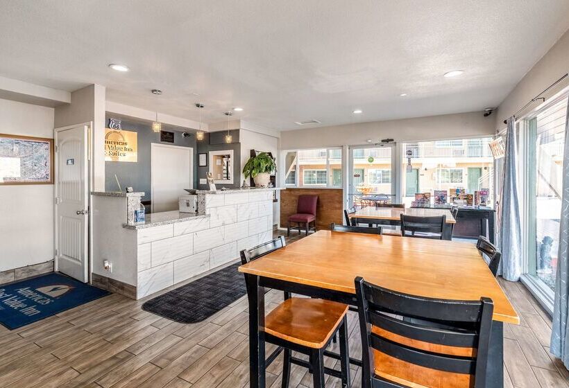 酒店 Americas Best Value Inn And Suites Flagstaff