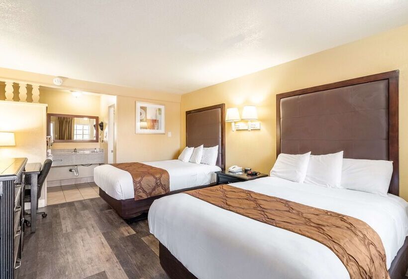 فندق Americas Best Value Inn And Suites Flagstaff