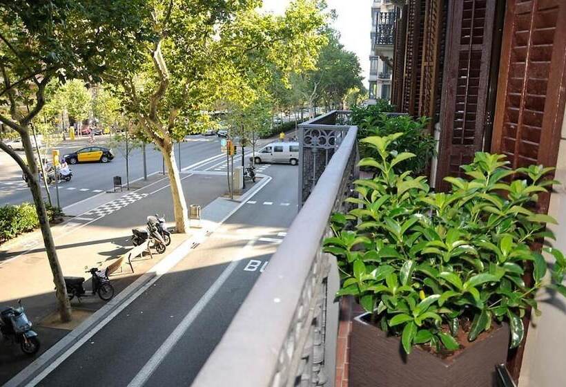 هتل Center Gran Via